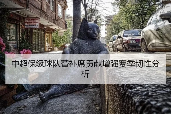 中超保级球队替补席贡献增强赛季韧性分析